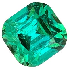 5.55 Carat Natural Loose Blue Green Tourmaline Cushion Cut Gemstone (Tourmaline bleue et verte taillée en coussin)