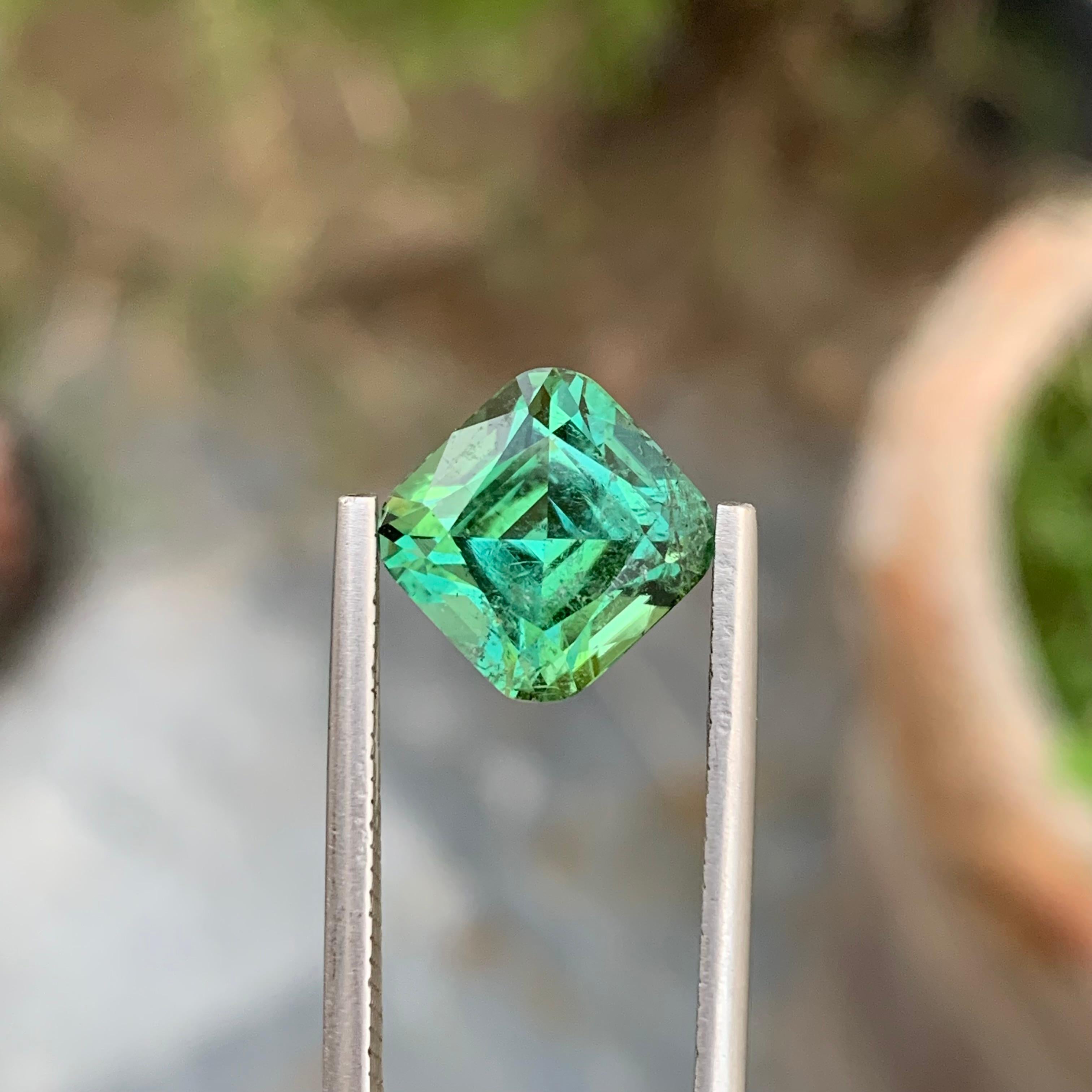 5.55 Carat Natural Loose Blueish Green Tourmaline Cushion Shape Gem en vente 5