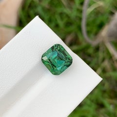 5.55 Carat Natural Loose Blueish Green Tourmaline Cushion Shape Gem