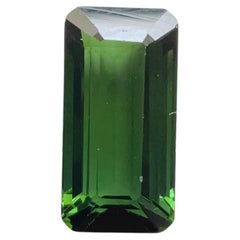 5,55 quilates Turmalina verde oscuro Octágono Piedra tallada de primera calidad Piedra preciosa natural