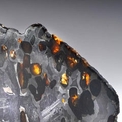 45.25 Gram Seymchan Pallasite Meteorite Slice