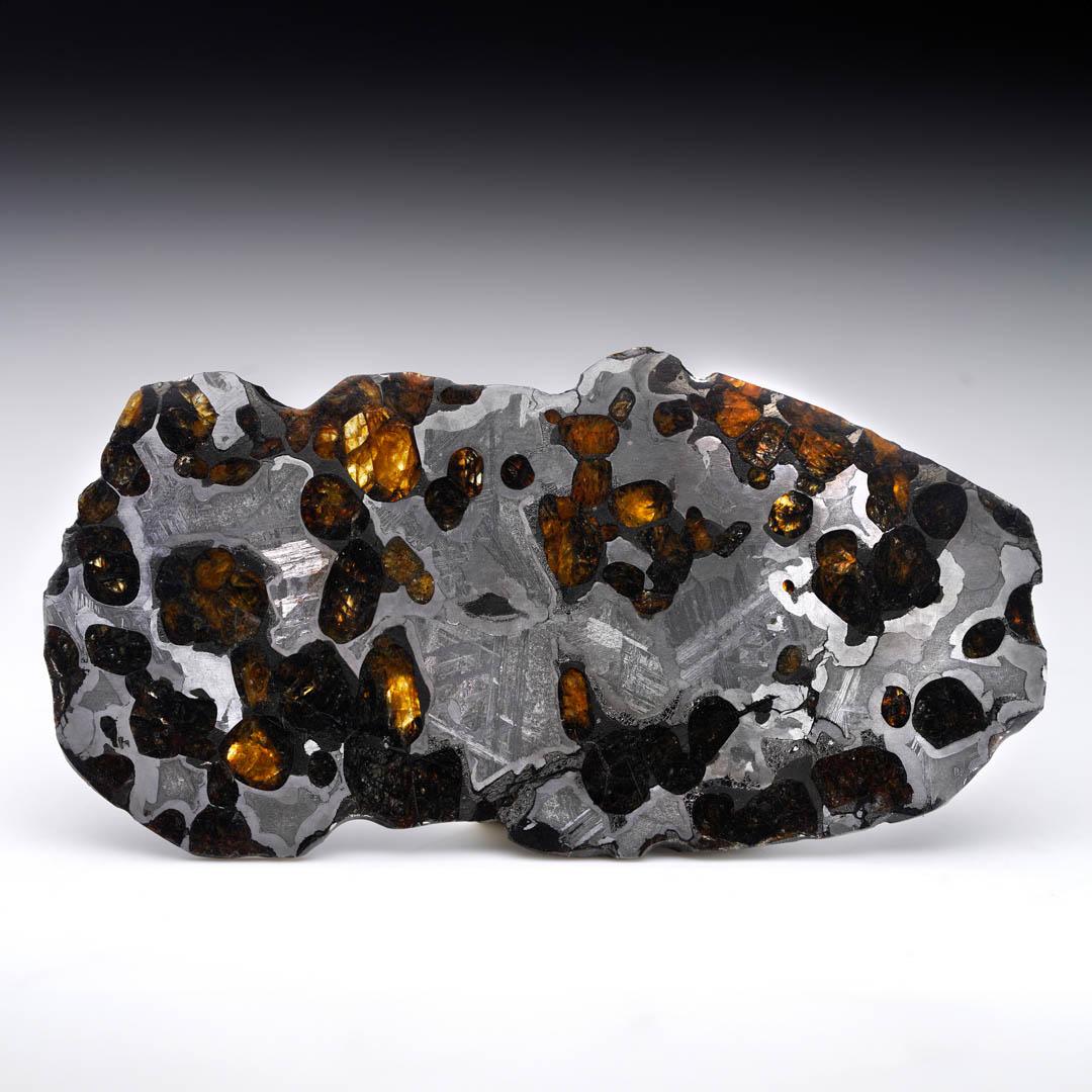55.54 Gram Seymchan Pallasite Meteorite Slice In condizioni ottime in vendita a New York, NY