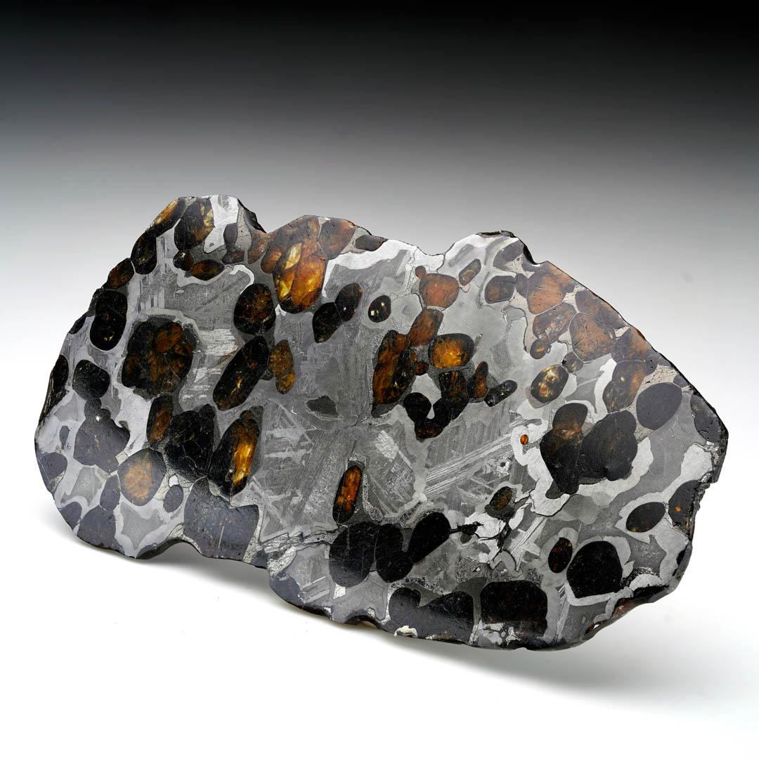 Fino al XVIII secolo 55.54 Gram Seymchan Pallasite Meteorite Slice in vendita