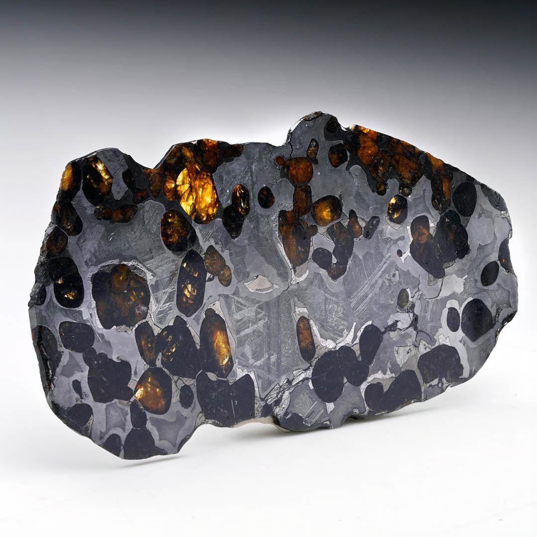 Altro 55.54 Gram Seymchan Pallasite Meteorite Slice in vendita