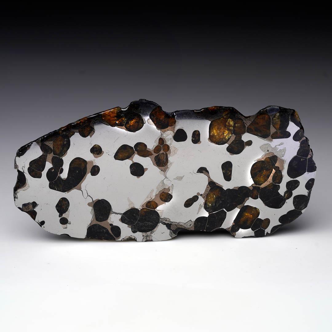55.54 Gram Seymchan Pallasite Meteorite Slice in vendita 1