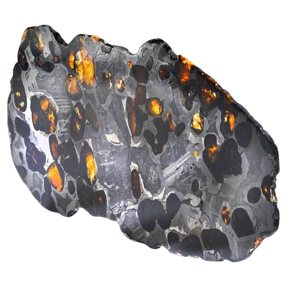 55.54 Gram Seymchan Pallasite Meteorite Slice