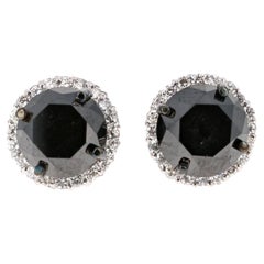 5.57 Carat Black Diamond 14 Karat White Gold Earring Studs