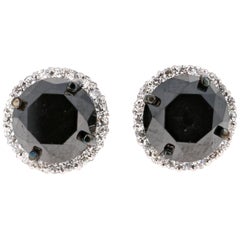 5.57 Carat Black Diamond 14 Karat White Gold Earring Studs