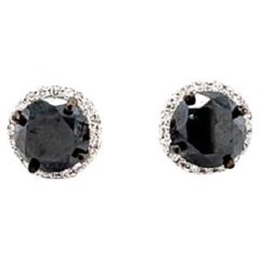 5.57 Carat Black Diamond White Diamond 14 Karat White Gold Earring Studs