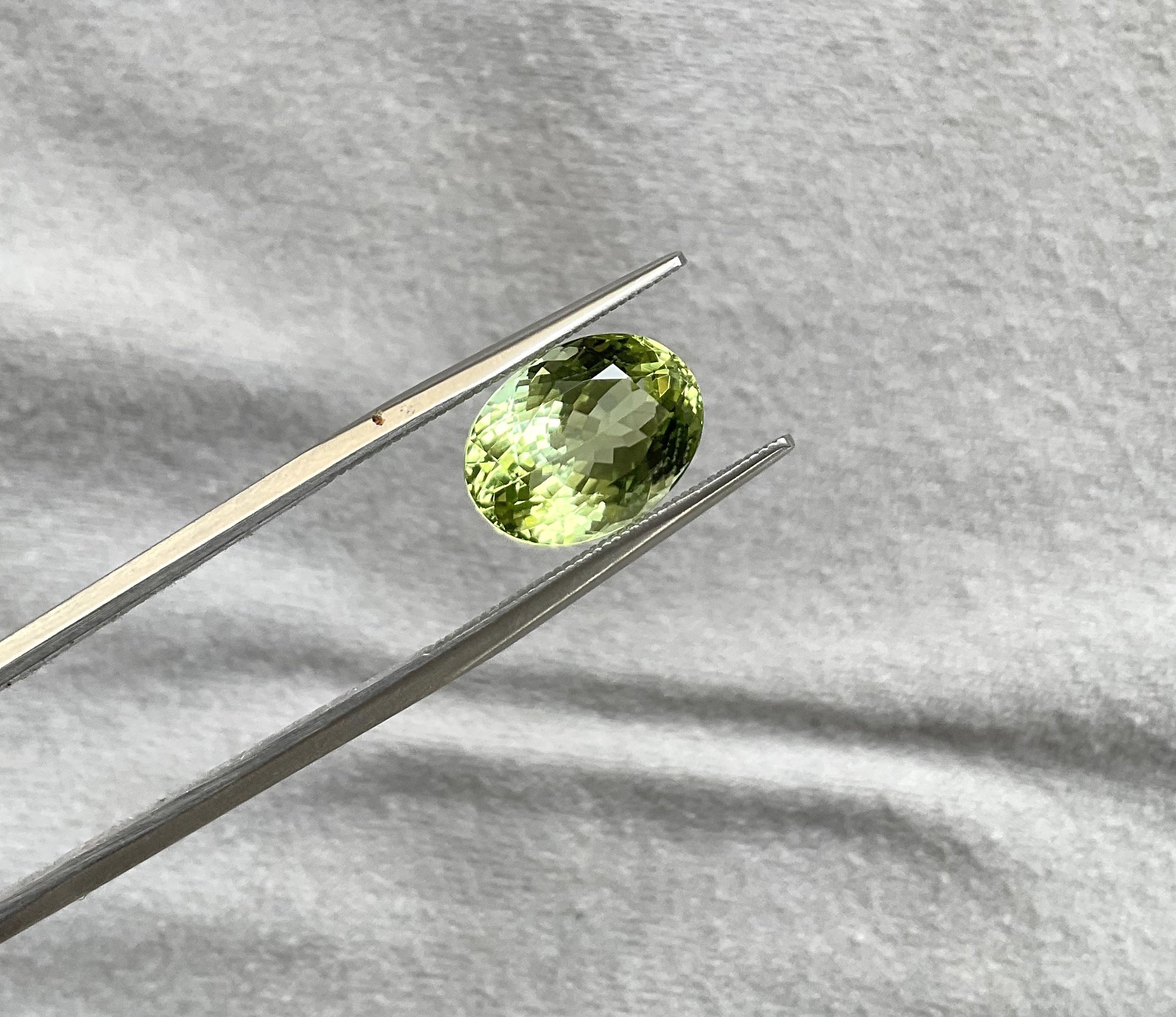 Oval Cut 5.57 Carats Green Tourmaline Oval Faceted cutstone Fine Jewelry Natural Gemstone For Sale