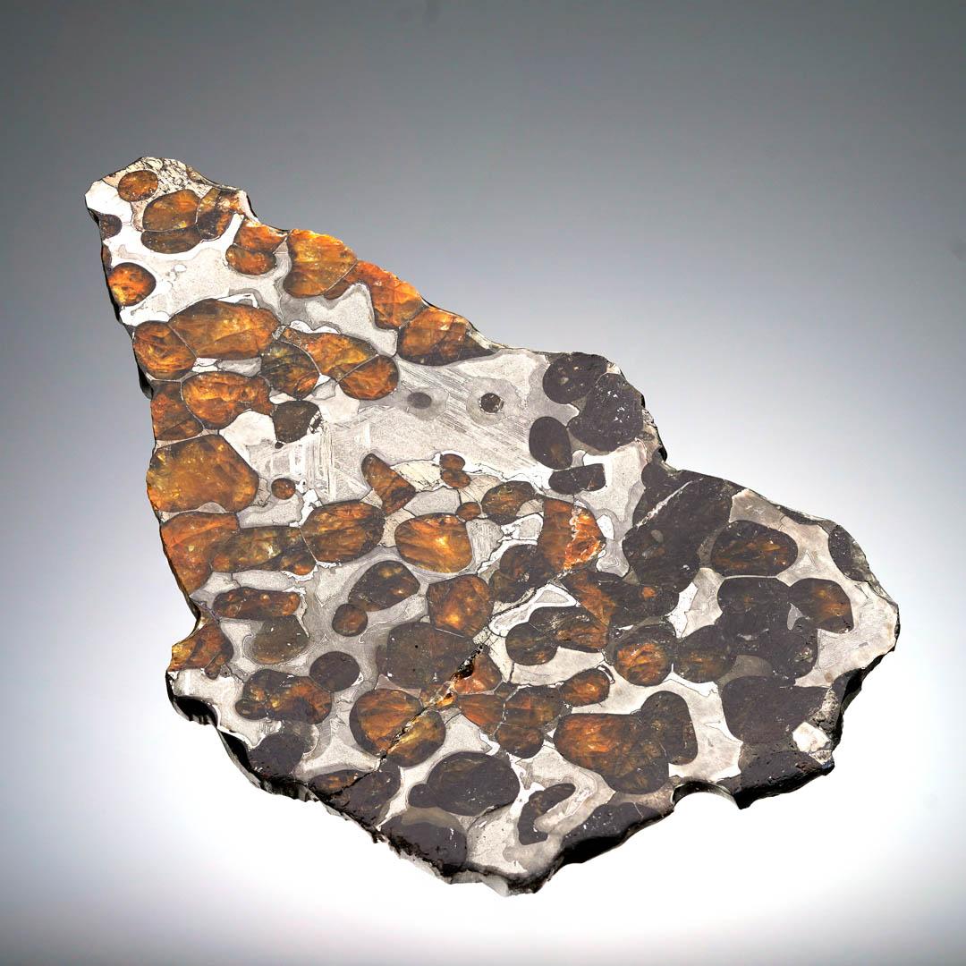 This Seymchan pallasite meteorite slice is a true natural masterpiece, showcasing a dazzling array of golden-hued Olivine crystals suspended in a lustrous iron-nickel matrix. Carefully sliced and expertly polished, this specimen reveals both the