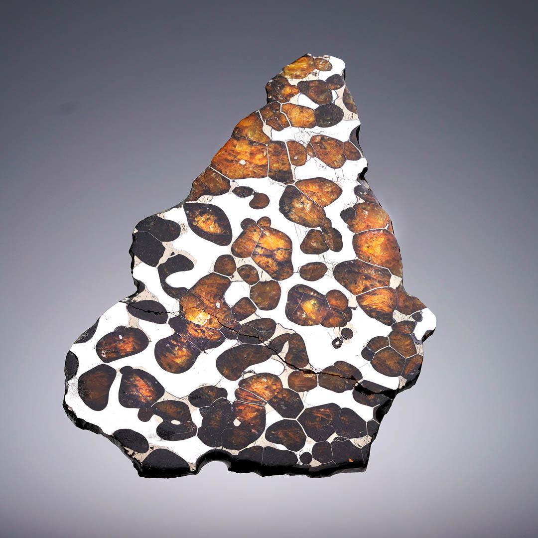 55.77 Gram Seymchan Pallasite Meteorite Slice In Excellent Condition For Sale In New York, NY