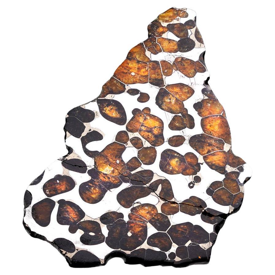 55.77 Gram Seymchan Pallasite Meteorite Slice For Sale