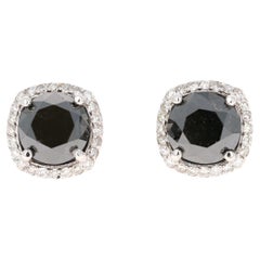 5.58 Carat Black Diamond White Diamond 14 Karat White Gold Stud Earrings