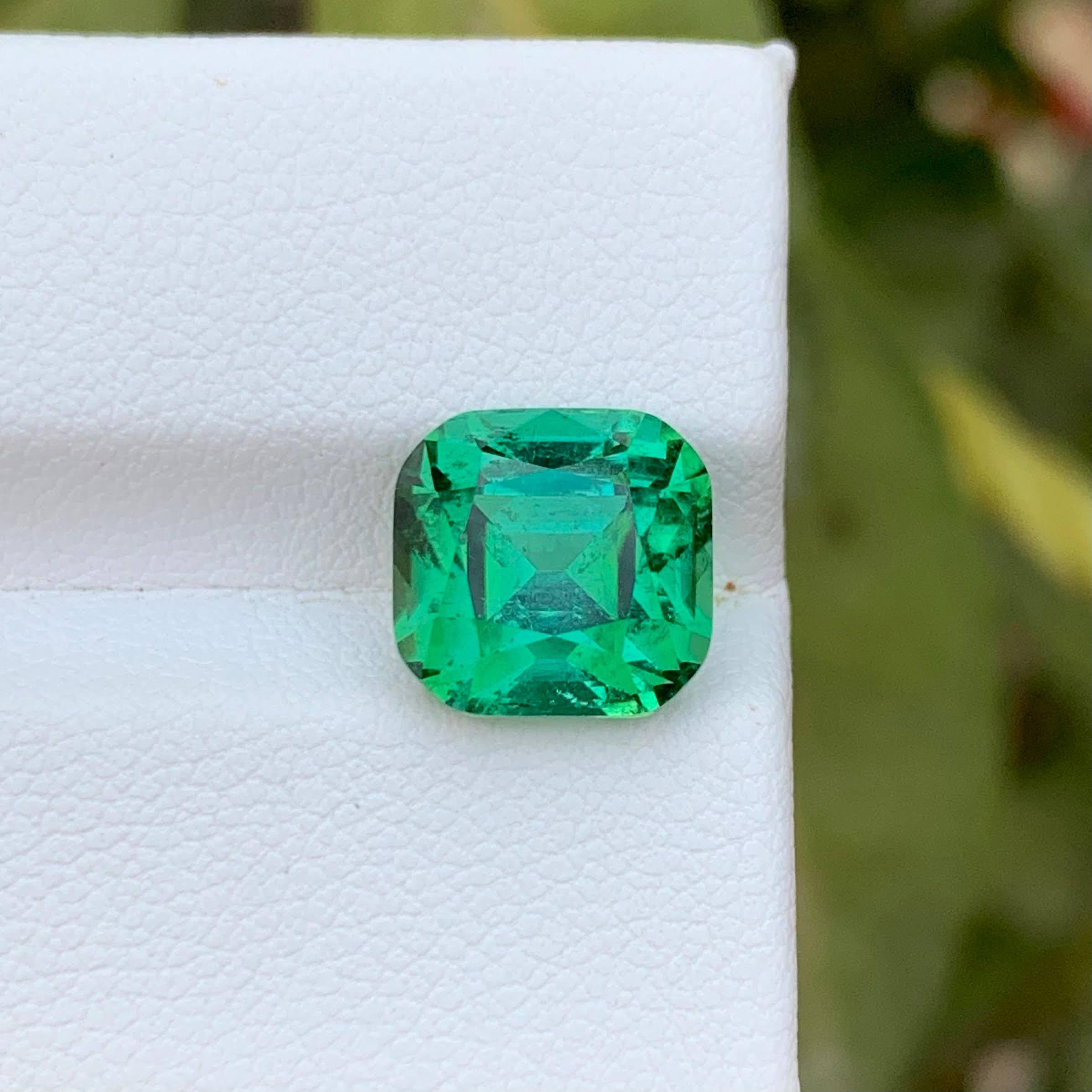 Poids 5,60 carats 
Dimensions 9,6x9,3x8,2mm
Traitement Aucun
Origine afghane 
Clarté VVS 
Forme Coupe Coussin 





Cette tourmaline bleue verdâtre en vrac de 5,60 carats est une pierre précieuse exquise présentant une taille en coussin qui rehausse