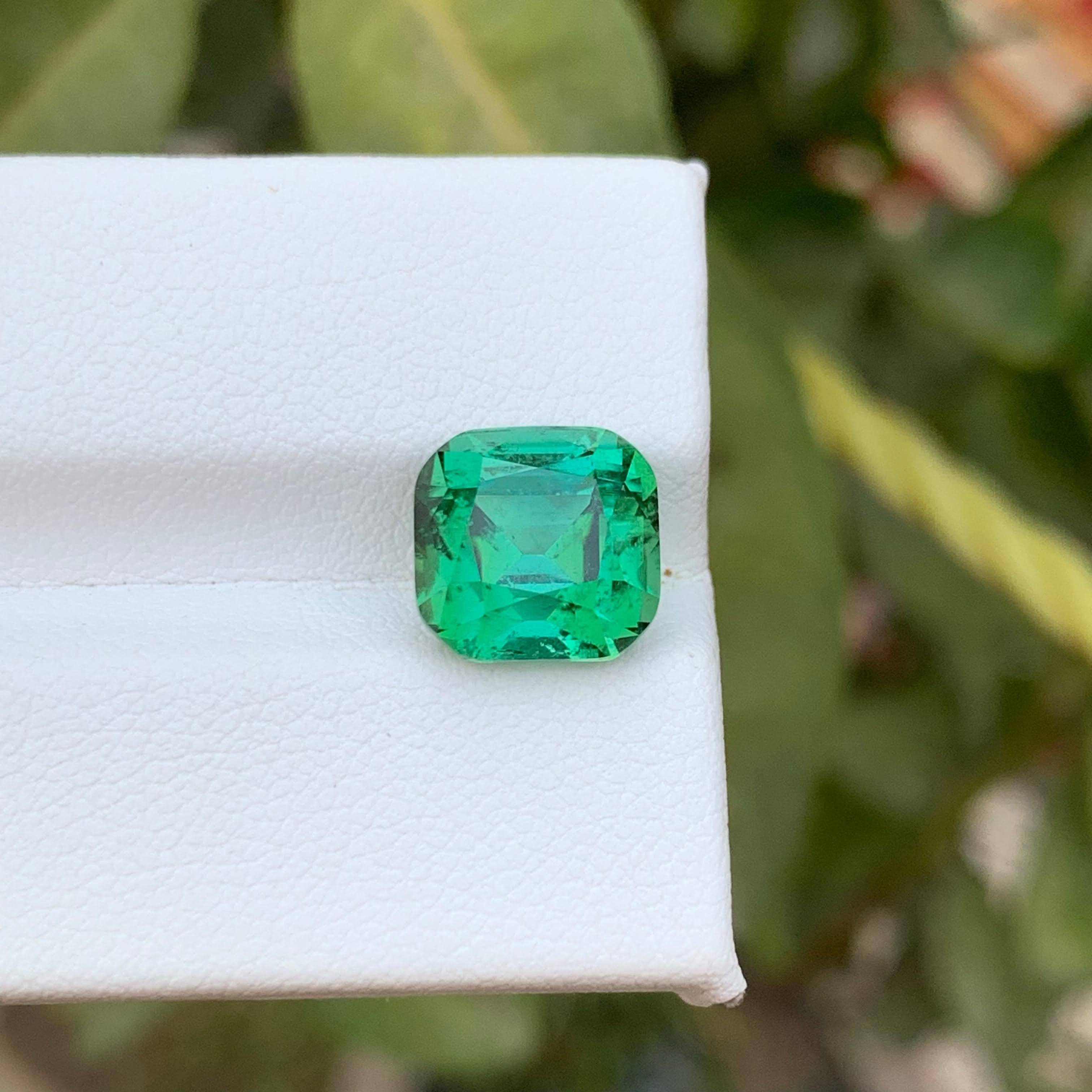 5.60 Carat Natural Loose Greenish Blue Tourmaline Cushion Cut Afghan Gemstone (Tourmaline bleue verdâtre en vrac, taille coussin) Neuf - En vente à Bangkok, TH