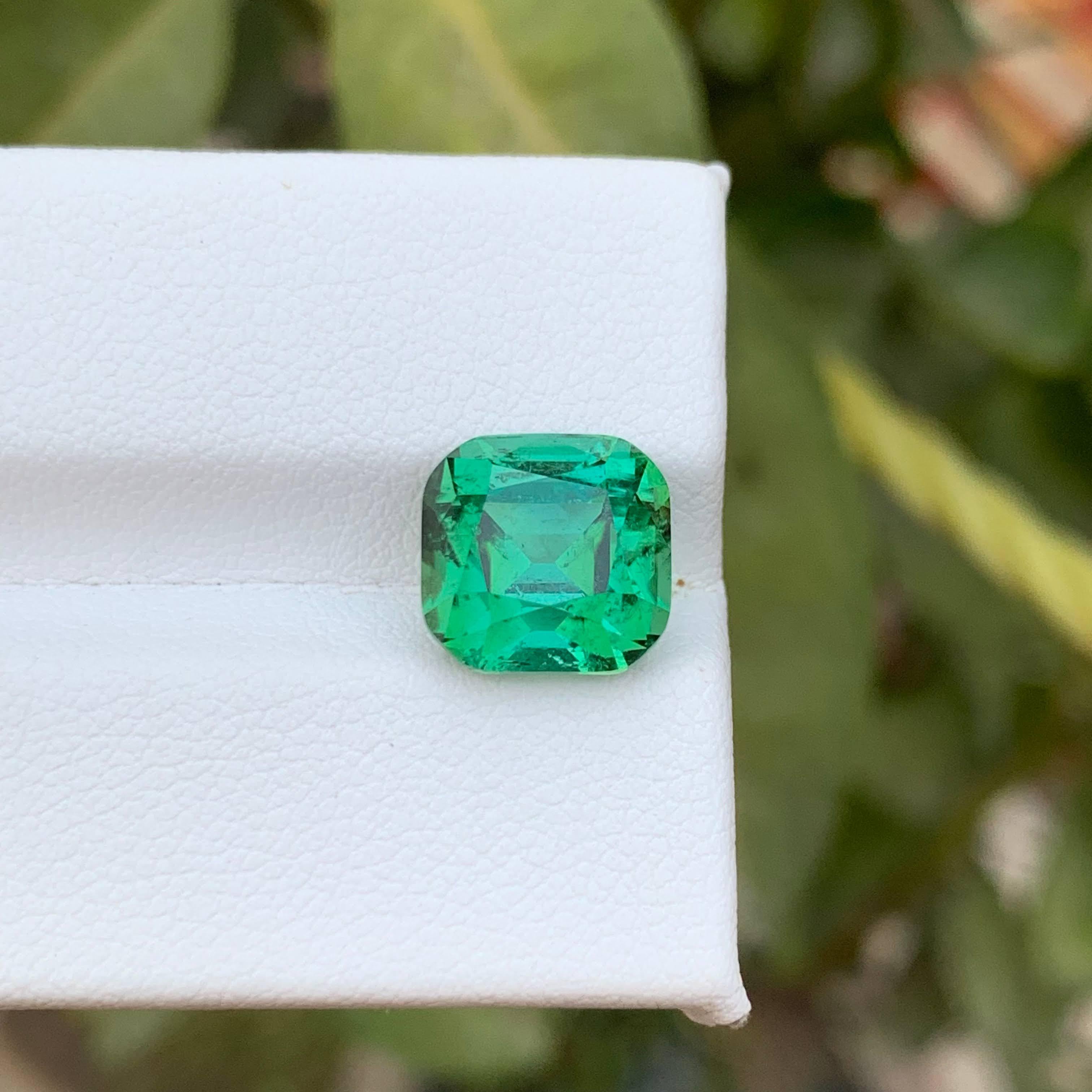 5.60 Carat Natural Loose Greenish Blue Tourmaline Cushion Cut Afghan Gemstone (Tourmaline bleue verdâtre en vrac, taille coussin) en vente 3