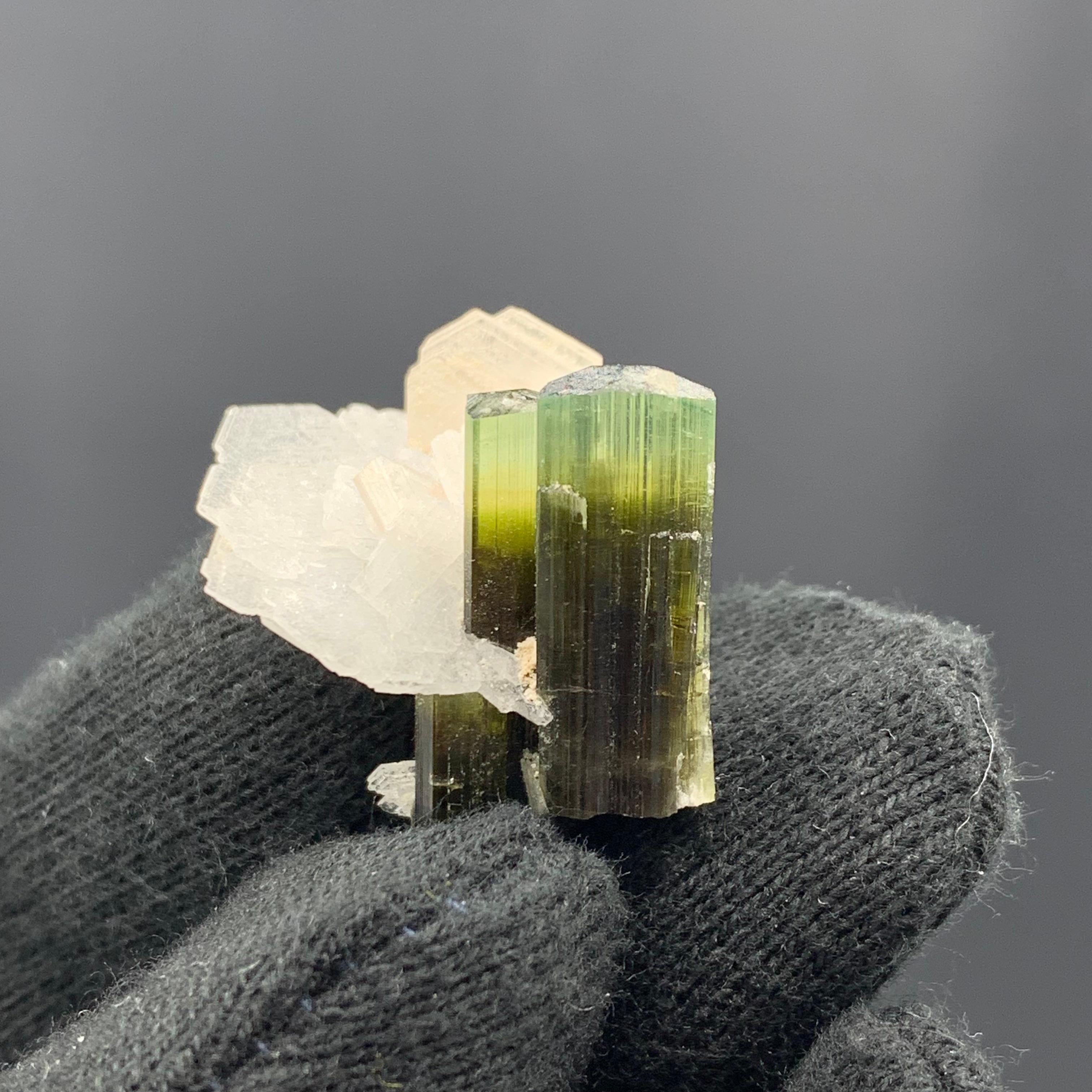 5.61 Gram Dual Tourmaline Crystal With Albite From Stak Nala, Skardu, Pakistan 

Weight: 5.61 Gram 
Dimension: 2.3 x 2.4 x 2.5 Cm 
Origin: Stak Nala, Skardu District, Pakistan 

Tourmaline is a crystalline silicate mineral group in which boron is