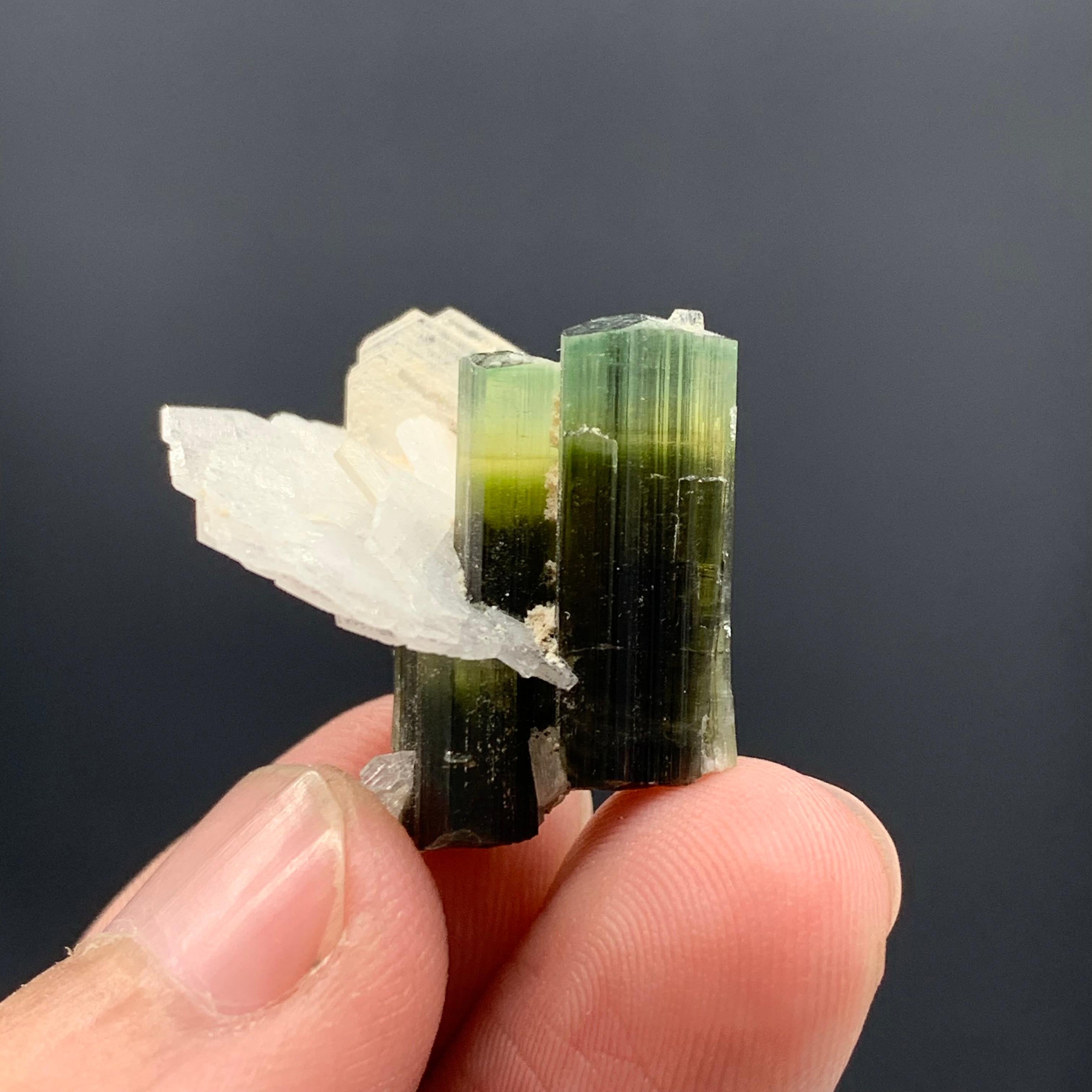 Other 5.61 Gram Dual Tourmaline Crystal With Albite From Stak Nala, Skardu, Pakistan  For Sale