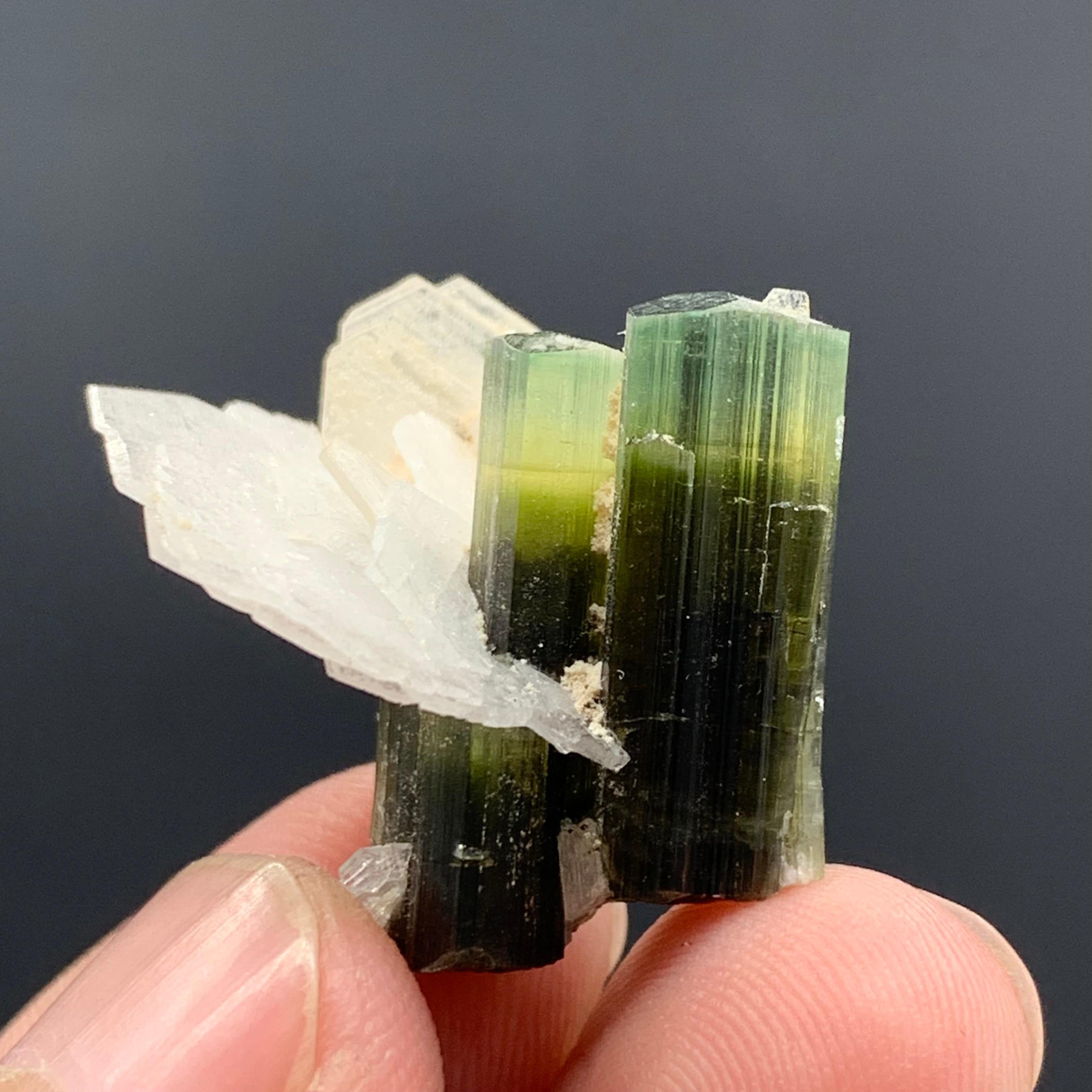 5.61 Gram Dual Tourmaline Crystal With Albite From Stak Nala, Skardu, Pakistan  In Good Condition For Sale In Peshawar, PK