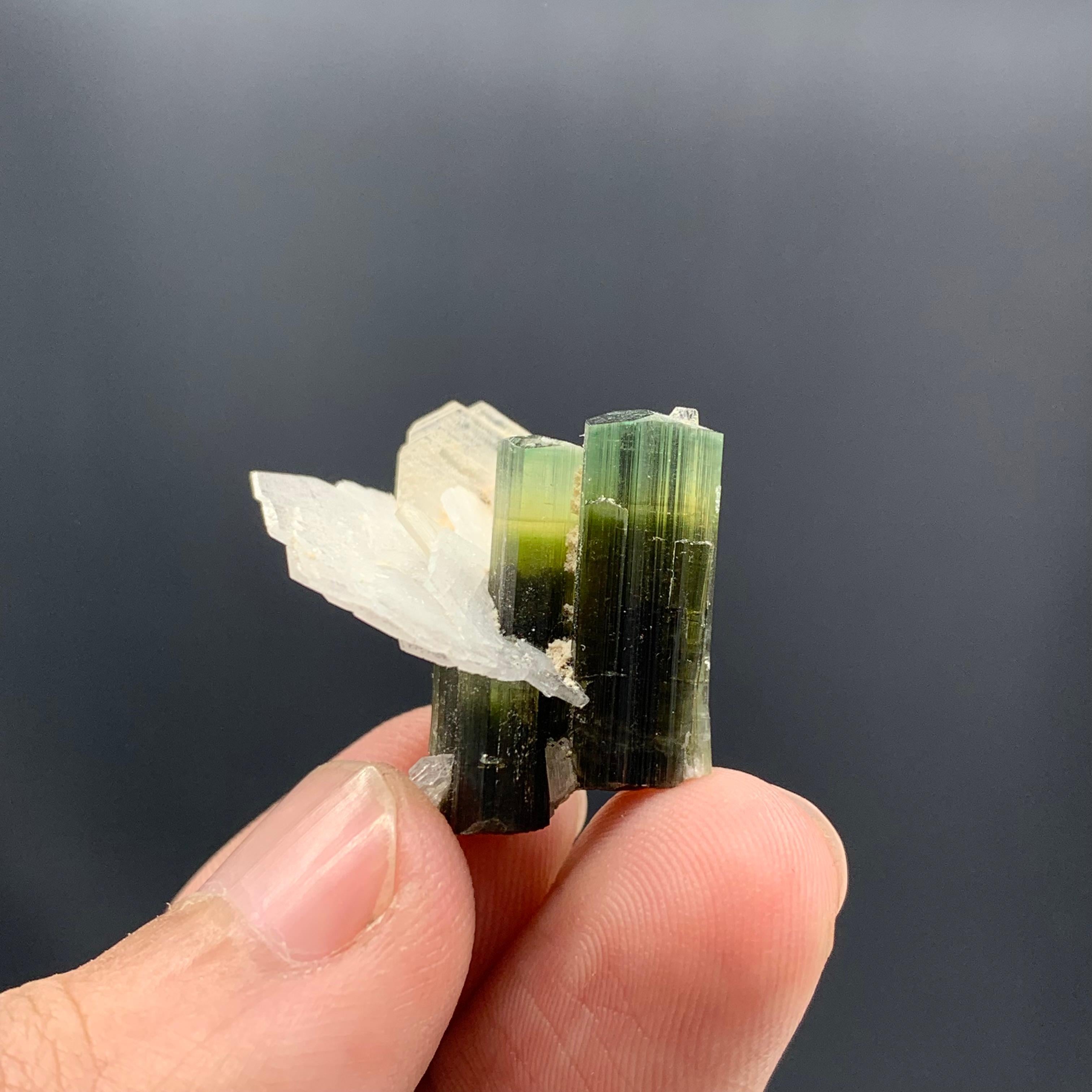 18th Century and Earlier 5.61 Gram Dual Tourmaline Crystal With Albite From Stak Nala, Skardu, Pakistan  For Sale