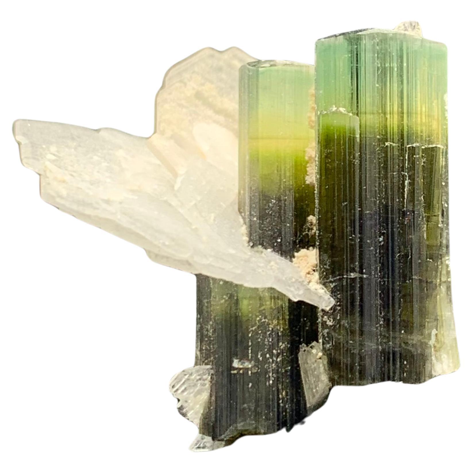 5,61 grammes de cristal de tourmaline Dual avec Albite provenant de Stak Nala, Skardu, Pakistan 