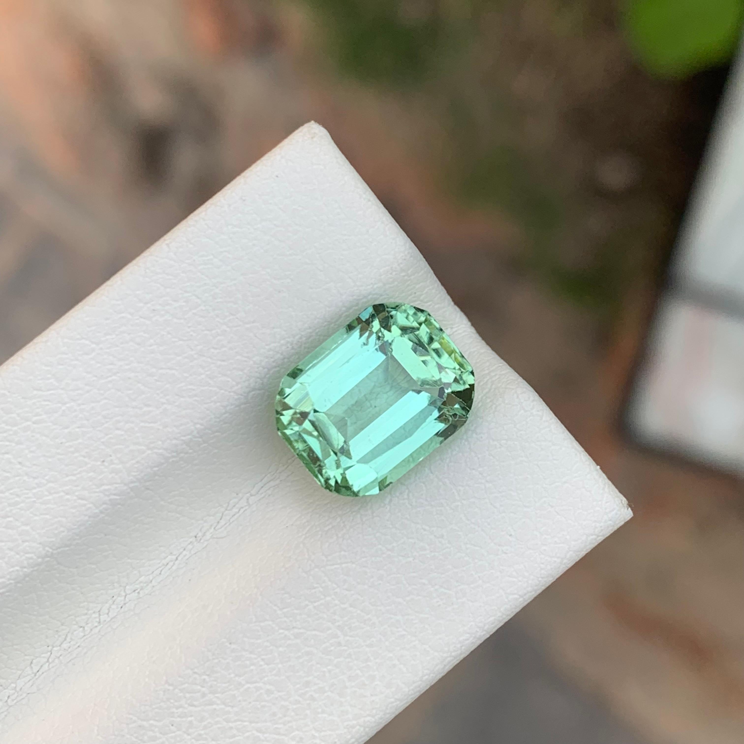 5.65 Carat Natural Loose Mint Tourmaline Cushion Shape Gemstone (pierre précieuse en forme de coussin) en vente 4