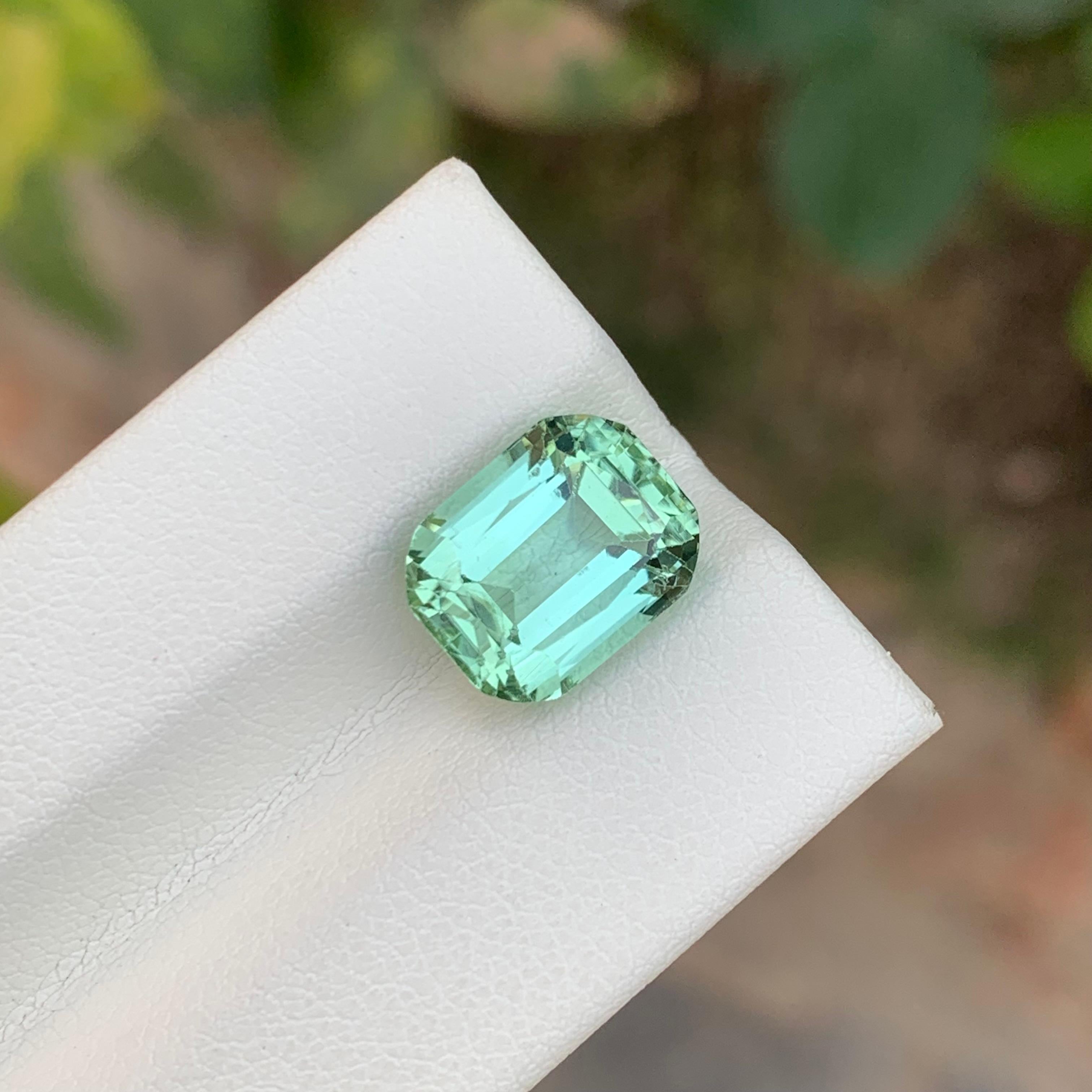 5.65 Carat Natural Loose Mint Tourmaline Cushion Shape Gemstone (pierre précieuse en forme de coussin) en vente 5