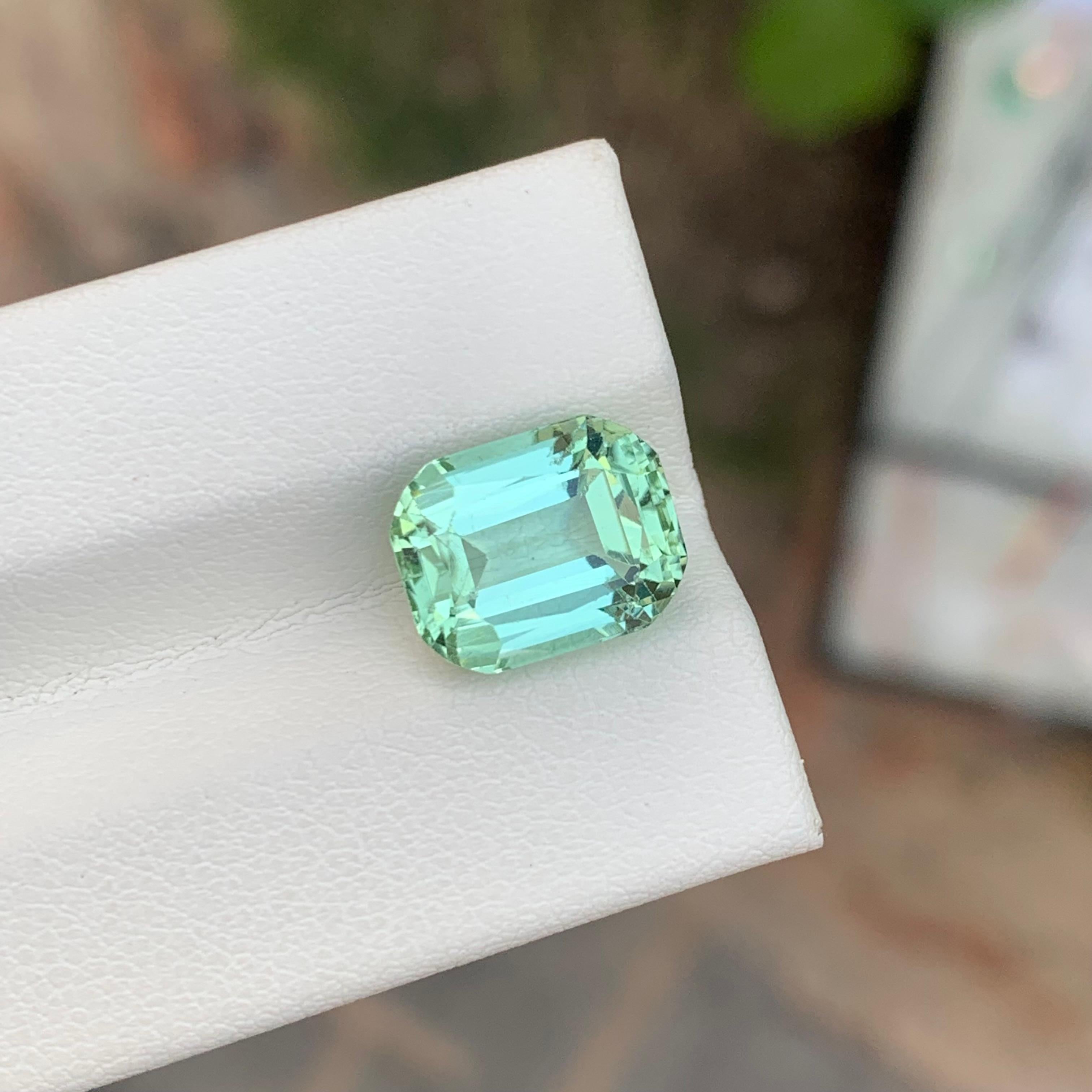 Tourmaline verte à facettes

Poids : 5,65 carats
Dimension : 10,9 x 8,6 x 7,1 mm
Couleur : Vert menthe
Traitement : Non
Certificat : Sur demande du client
Forme : Coussin


La tourmaline est une pierre précieuse captivante connue pour sa remarquable
