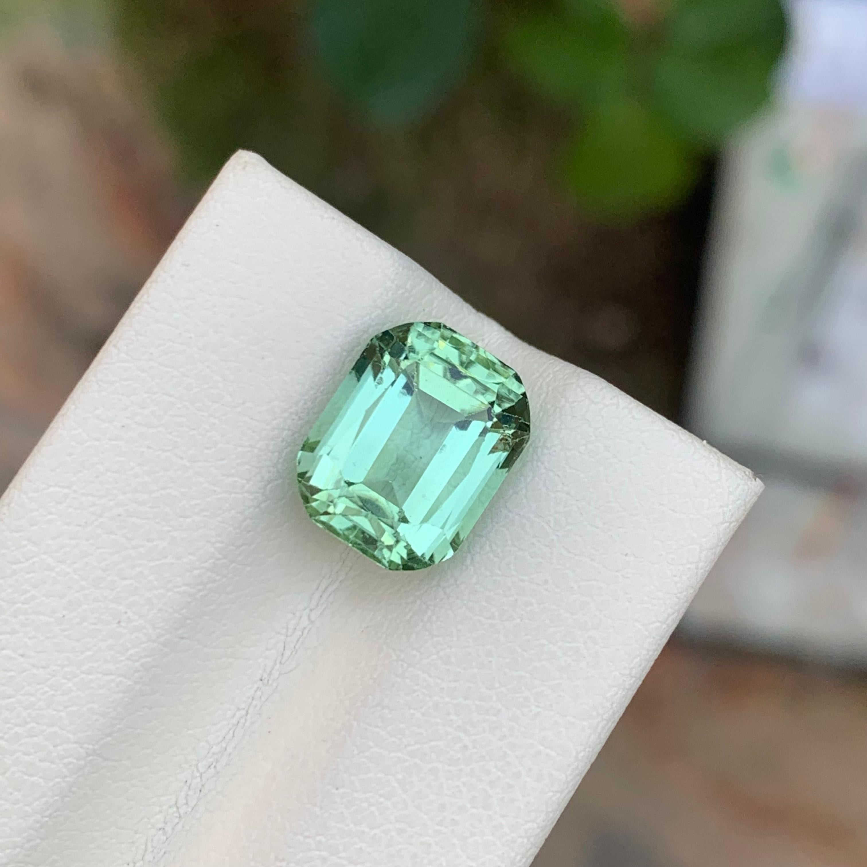 Arts and Crafts 5.65 Carat Natural Loose Mint Tourmaline Cushion Shape Gemstone (pierre précieuse en forme de coussin) en vente