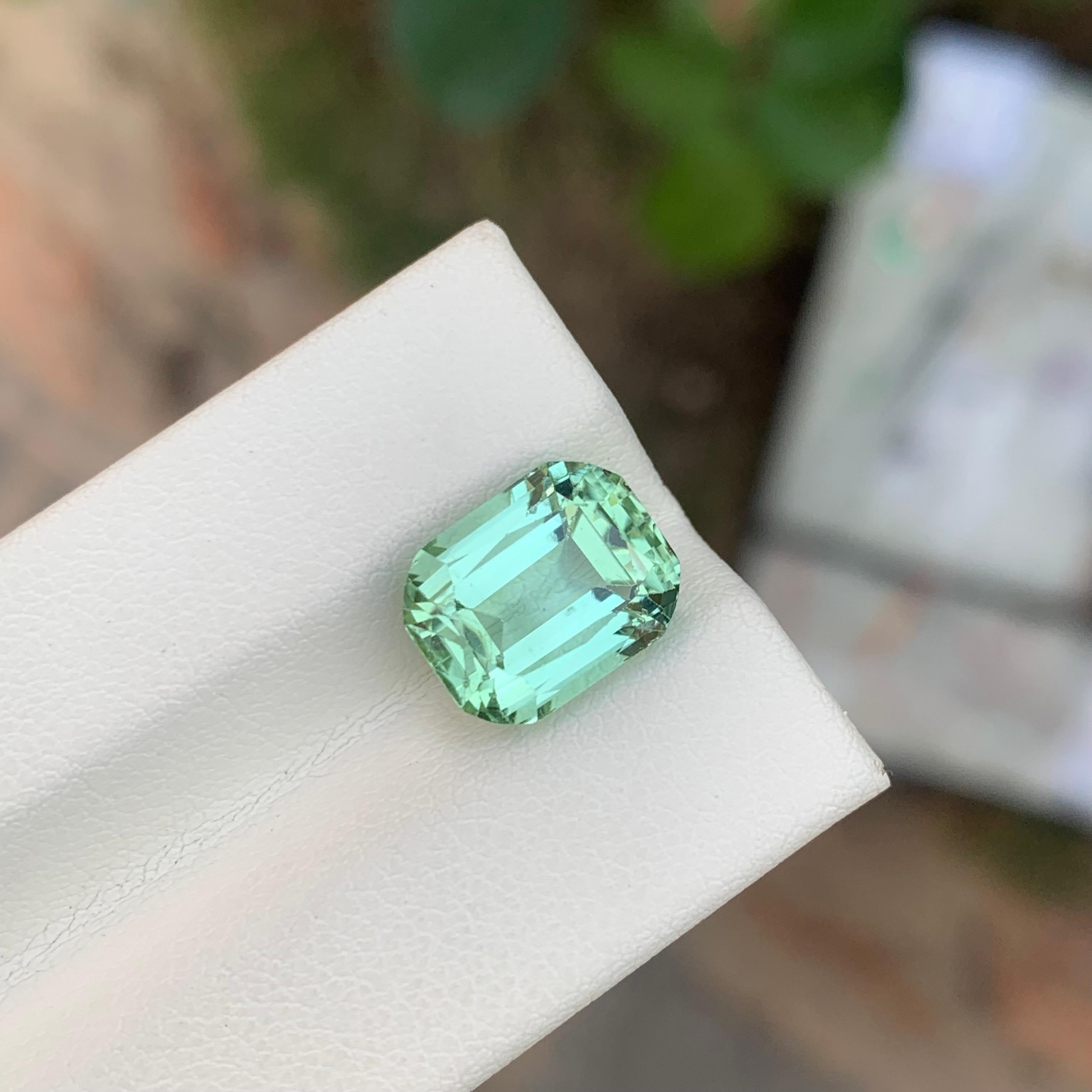 Taille coussin 5.65 Carat Natural Loose Mint Tourmaline Cushion Shape Gemstone (pierre précieuse en forme de coussin) en vente