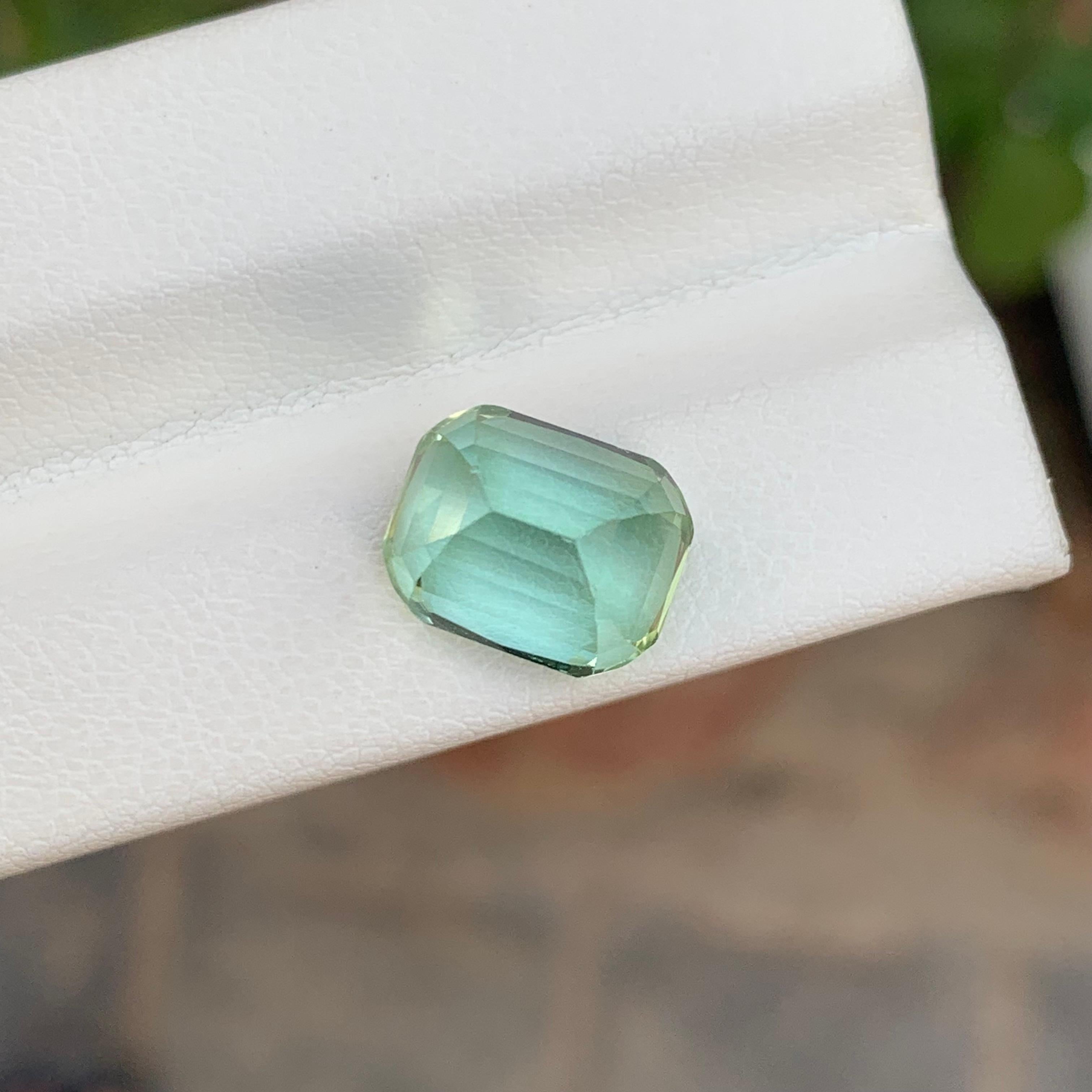 5.65 Carat Natural Loose Mint Tourmaline Cushion Shape Gemstone (pierre précieuse en forme de coussin) en vente 1