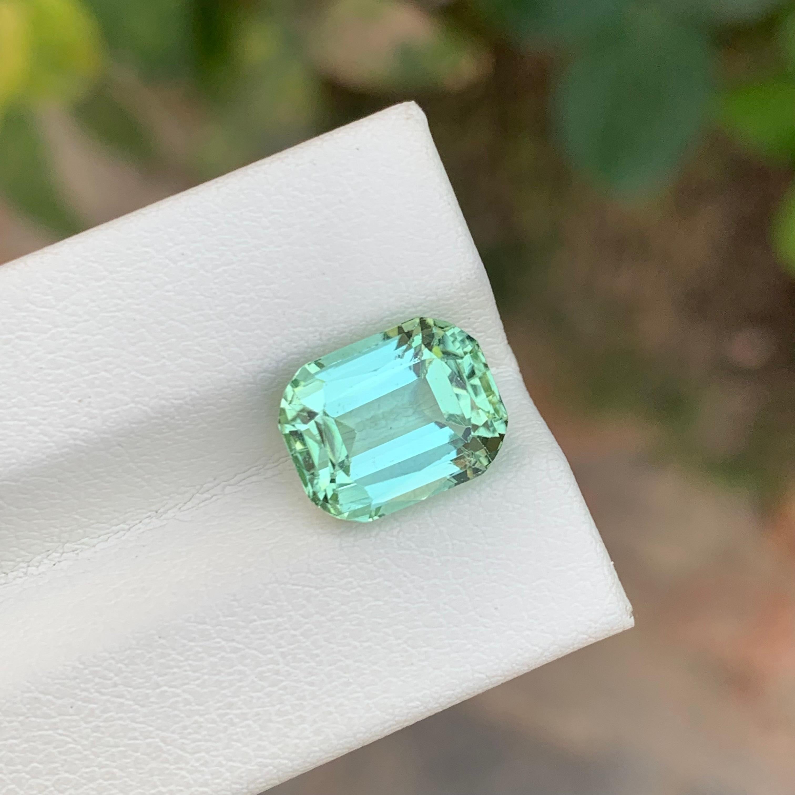 5.65 Carat Natural Loose Mint Tourmaline Cushion Shape Gemstone (pierre précieuse en forme de coussin) en vente 3