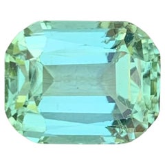 5.65 Carat Natural Loose Mint Tourmaline Cushion Shape Gemstone