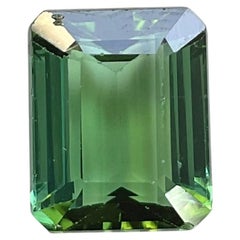 Pierre naturelle de 5,67 carats, tourmaline verte octogonale taillée à facettes de qualité supérieure