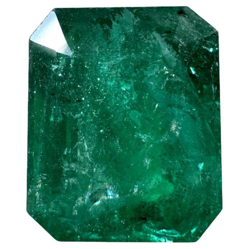 5.68 Carat 11.3x9.3 Medium Deep Green Zambian Emerald - Emerald Cut May