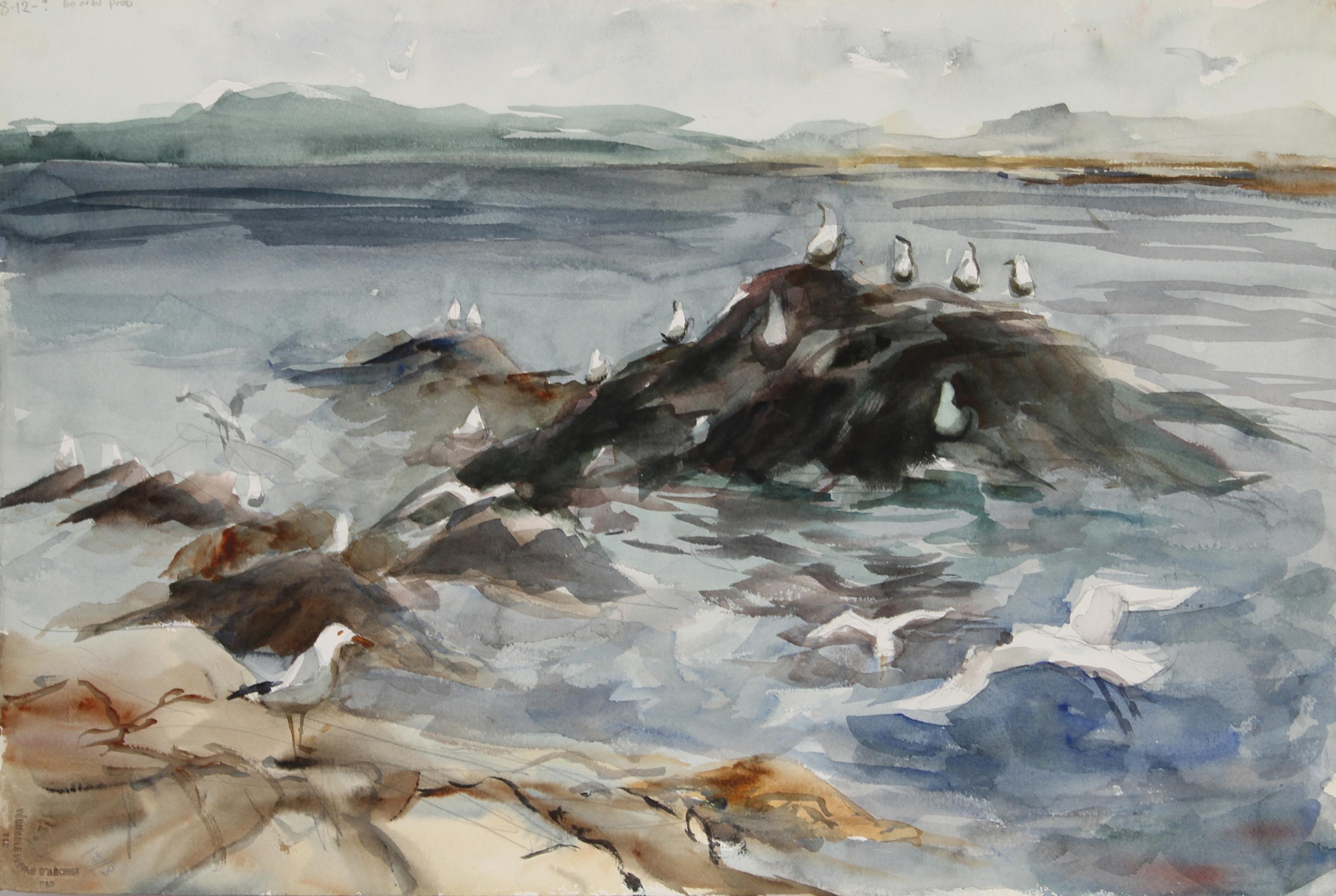 Eve Nethercott, estadounidense (1925 - 2015) -  Gaviotas en las rocas (61), Año:  hacia 1960, Medio:  Acuarela, Tamaño:  38,1 cm x 55,88 cm, Descripción:  Dominando la orilla, la vista de Eve Nethercott de las rocas esparcidas por la costa está