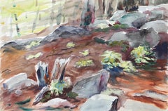 Forest Floor, impressionistisches Aquarell von Eve Nethercott