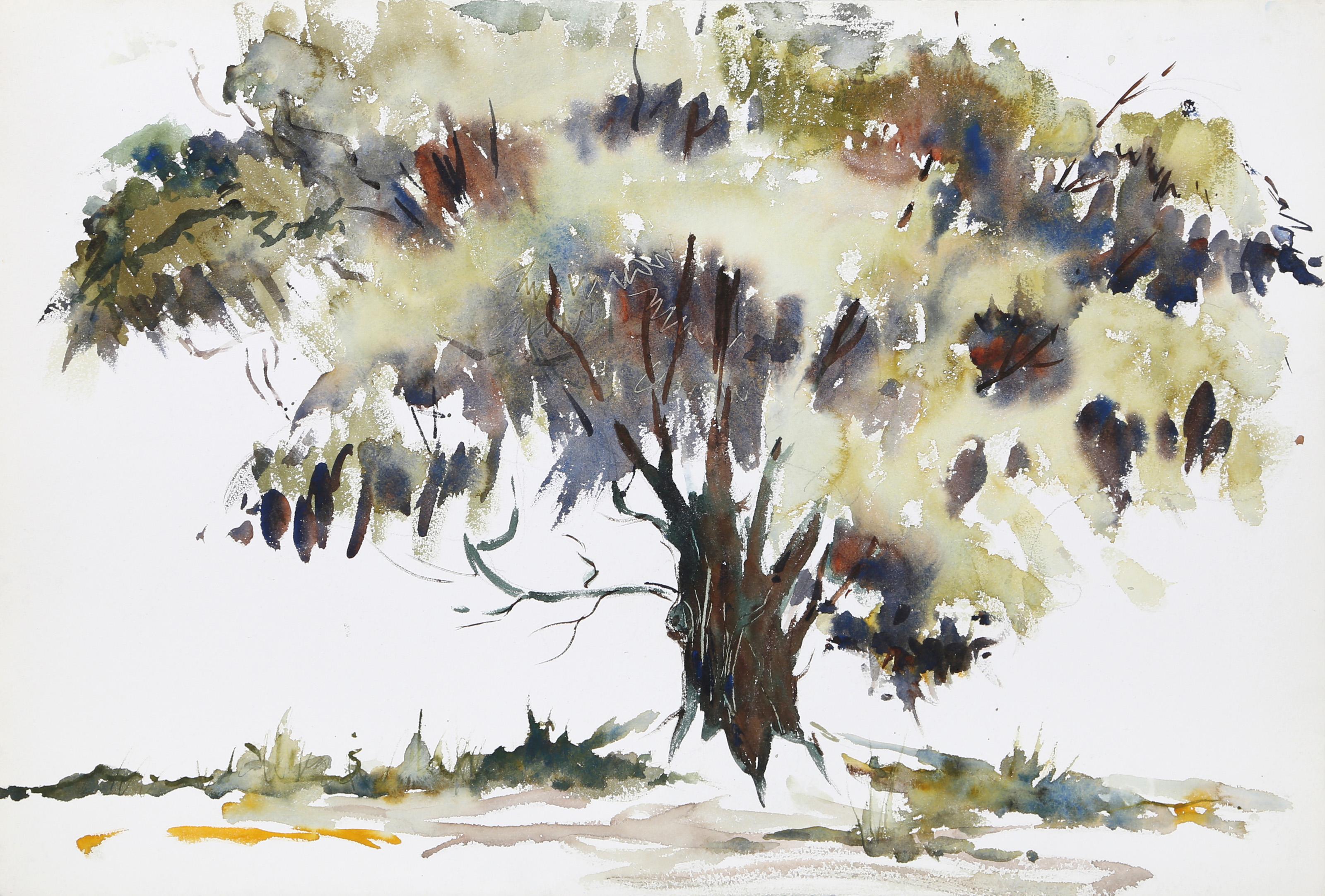 Eve Nethercott, Amerikanerin (1925 - 2015) -  Baum (P1.31), Jahr:  ca. 1960, Medium:  Aquarell auf Papier, Größe:  15  x 22 in. (38.1  x 55,88 cm), Beschreibung:  Eve Nethercotts aquarellierte Darstellung eines belaubten Baumes ist voller Leben.