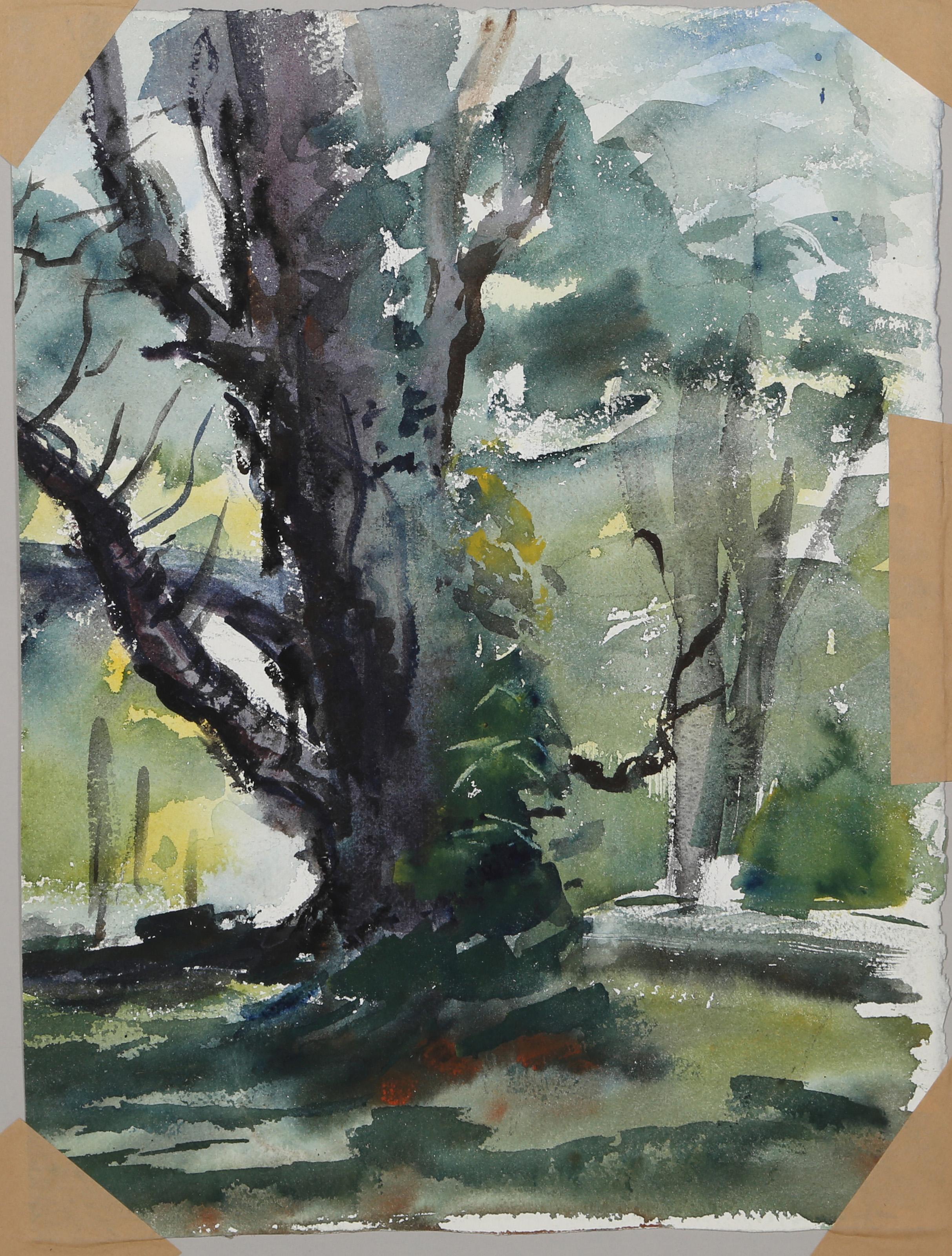  Eve Nethercott, estadounidense (1925 - 2015) -  Bosque (P2,59), Año:  1959, Medio:  Acuarela sobre papel, Tamaño:  15  x 11 in. (38.1  x 27,94 cm), Descripción:  Inclinado hacia la izquierda, el viejo roble de esta acuarela de Eve Nethercott está