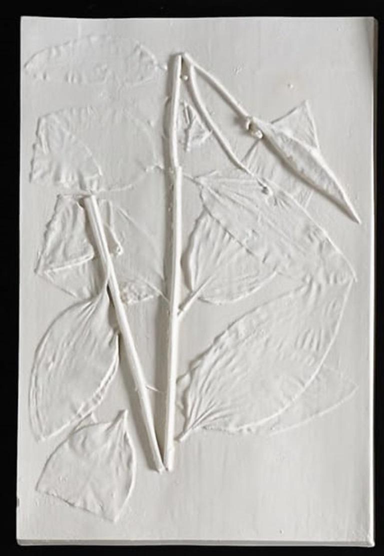 Asclepius Purpurascens, Arte de Beth Lipman, 2019

Más información:
Medio: Cerámica colada
Dimensiones: 43,2 × 27,9 × 1,3 cm (17 × 11 × 1/2 pulg.)

Sobre la artista: Beth Lipman es una artista estadounidense cuya práctica escultórica explora