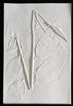 Asclepius Purpurascens, Art by Beth Lipman, 2019