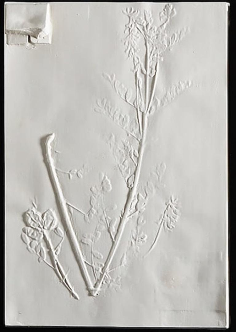 Astralagus Neglects, Arte de Beth Lipman, 2019

Más información:
Medio: Cerámica colada
Dimensiones: 43,2 × 27,9 × 1,3 cm (17 × 11 × 1/2 pulg.)

Sobre la artista: Beth Lipman es una artista estadounidense cuya práctica escultórica explora aspectos