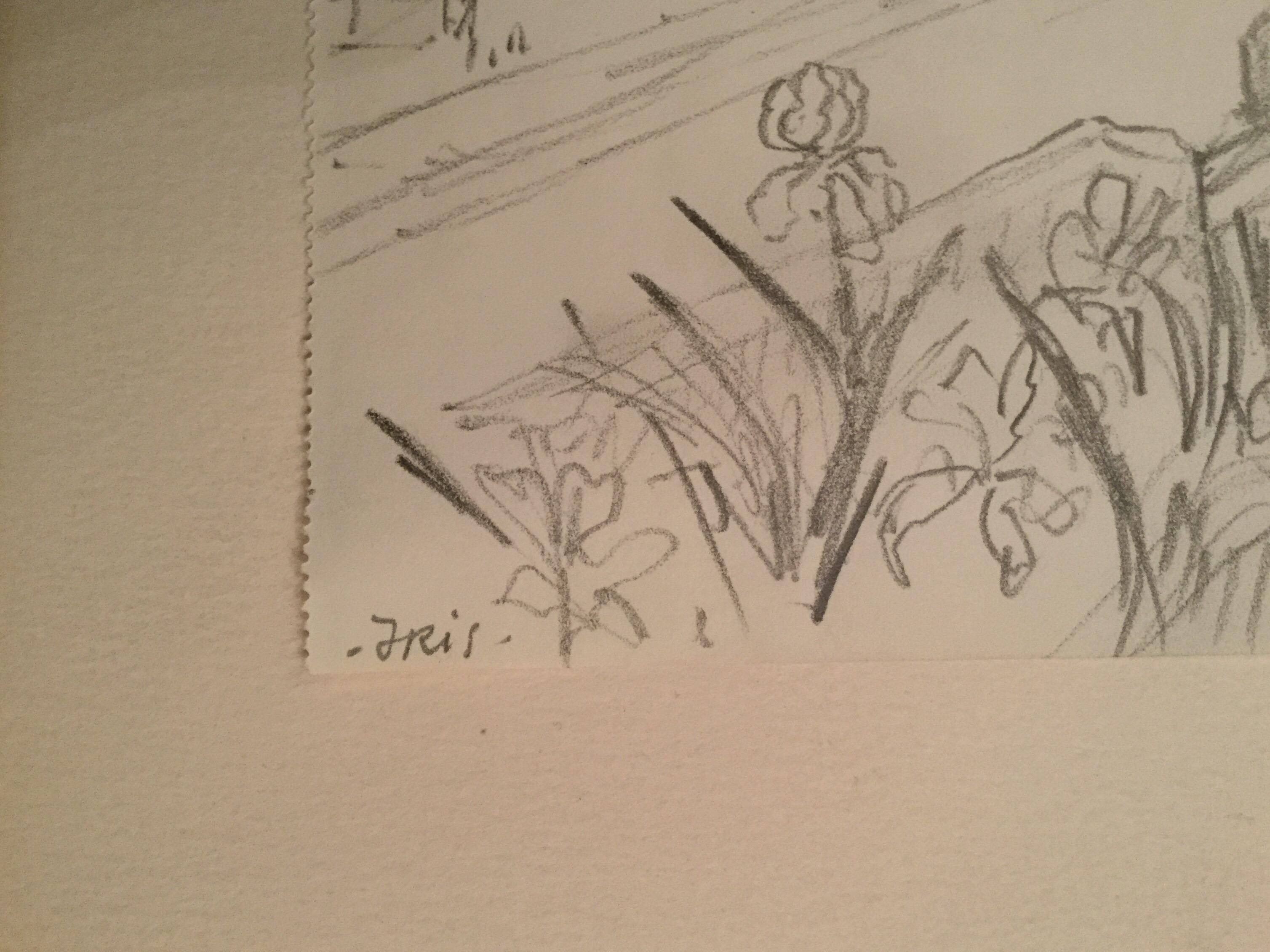 Este dibujo es una vista de un jardín.
Al fondo, vemos un alto basamento coronado por una estatua de un personaje del siglo XIX junto con otras ruinas arquitectónicas.
En el centro de la composición hay un árbol frondoso con el tronco inclinado.
La