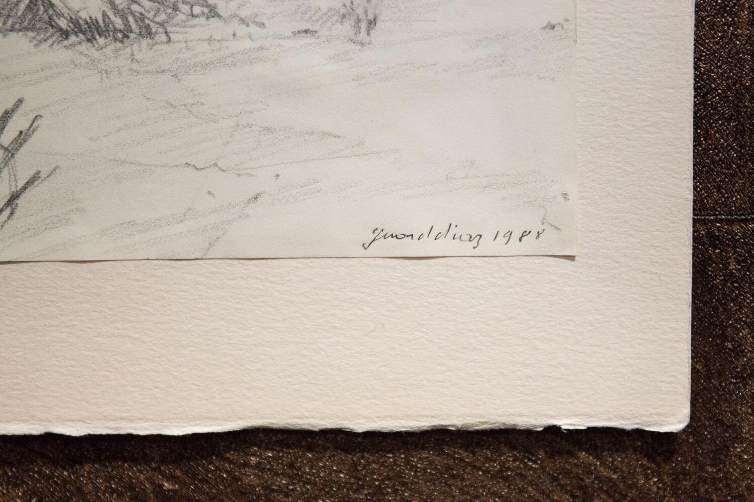 Gerardo Díaz  Iris francés contemporáneo Dibujo a lápiz en venta 2