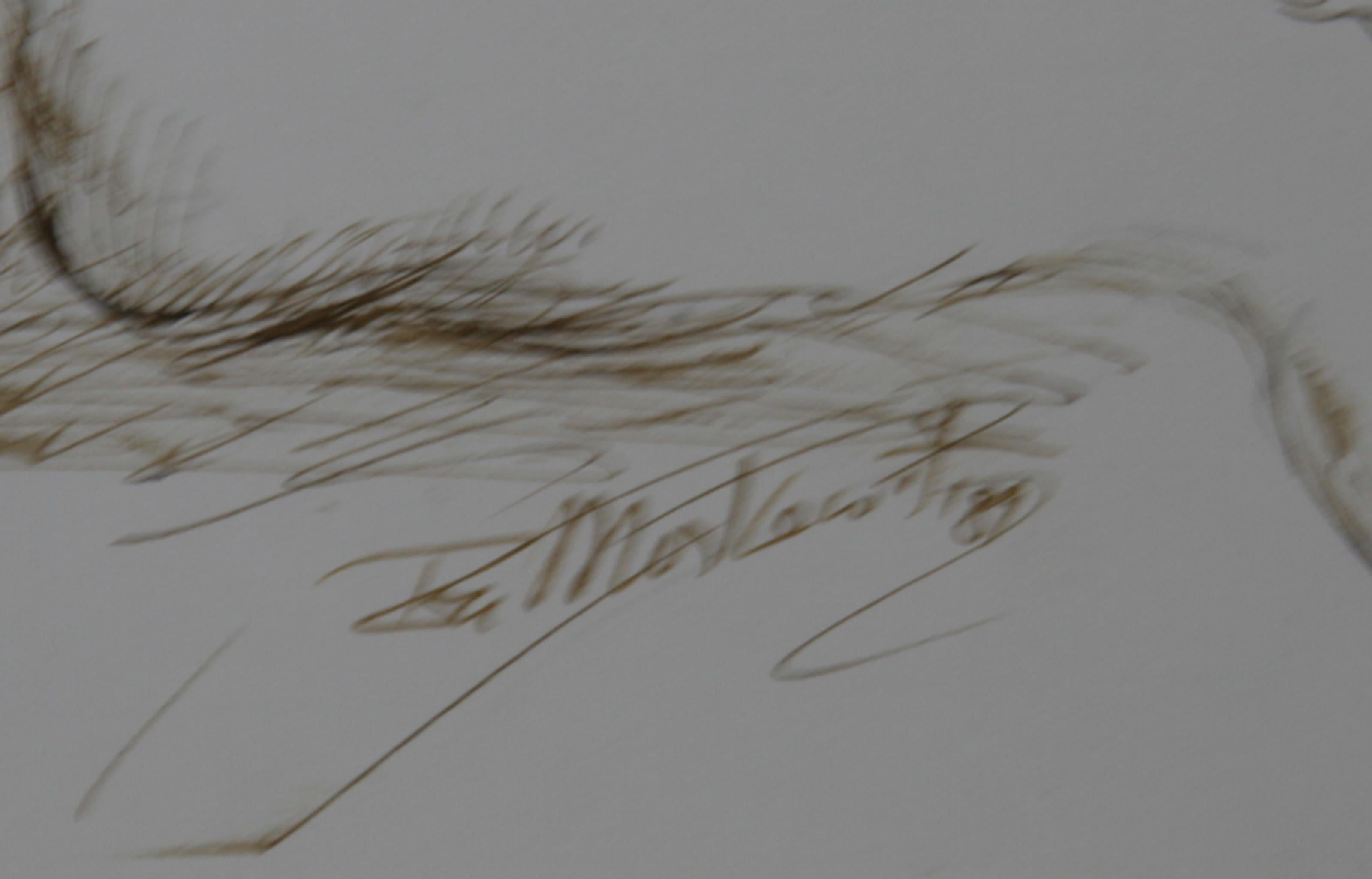 Nu - I, encre contemporaine sur papier d'Ira Moskowitz en vente 1