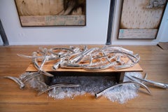 Individual Tusks From the "Ivory.125" Installation, by Joseph Rossano, 2020
