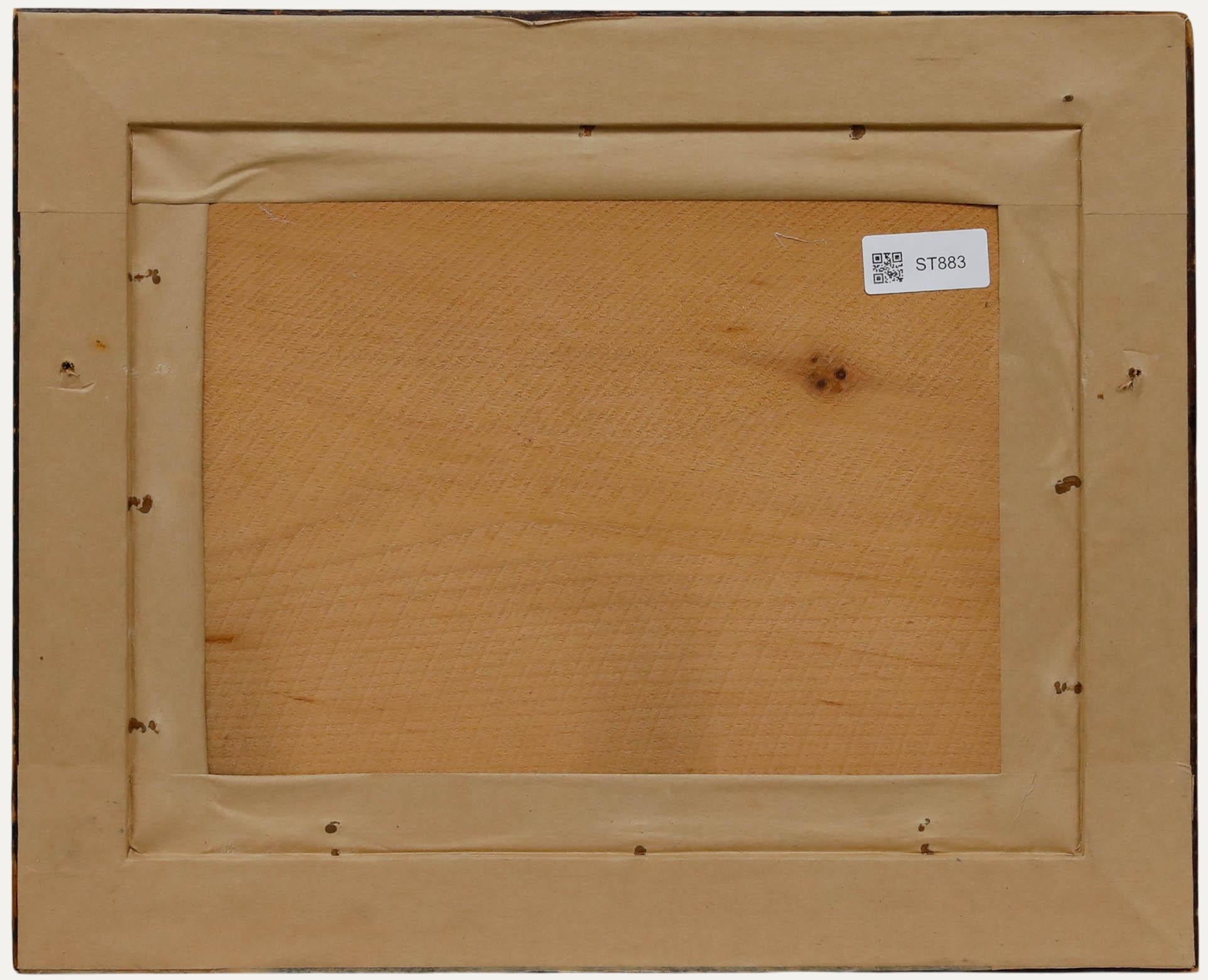 Acuarela del siglo XIX - Conchas y algas - Figurative Art Marrón de Unknown