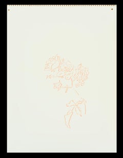 Roses, Orange, Line Drawing by Jeffry Mitchell, 2010