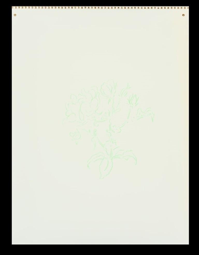 Roses, vert clair, dessin de Jeffry Mitchell, 2010

Informations complémentaires :
Médium : Crayon de couleur sur papier
Dimensions : 20 x 16 in

À propos de l'artiste : Jeffry Mitchell utilise principalement la céramique et connaît bien ses
